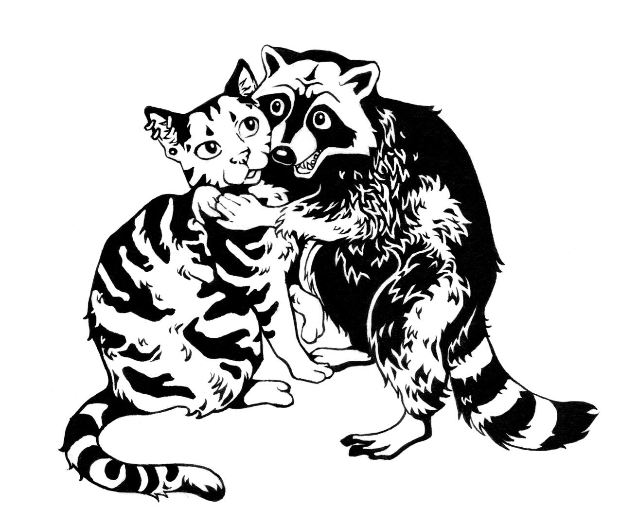 Raccoon &amp; Tigerli
