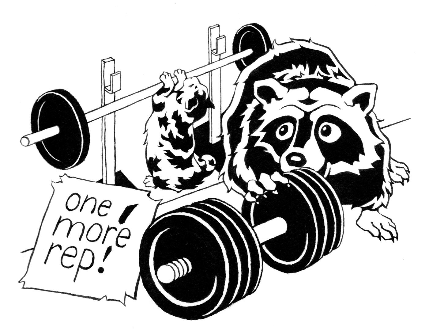 Raccoon &amp; Tigerli