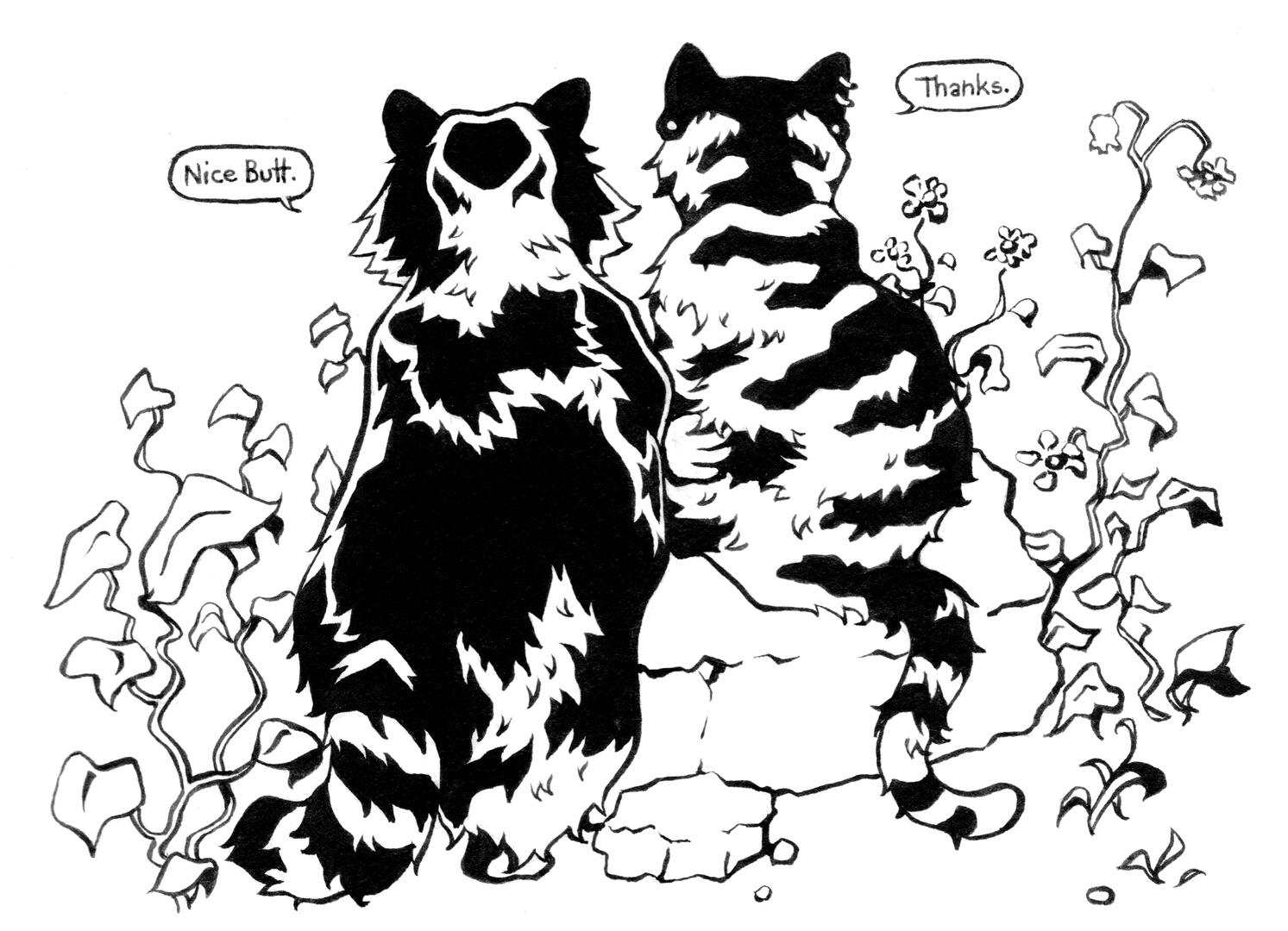 Raccoon &amp; Tigerli
