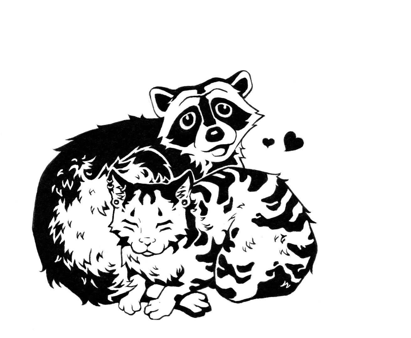 Raccoon &amp; Tigerli
