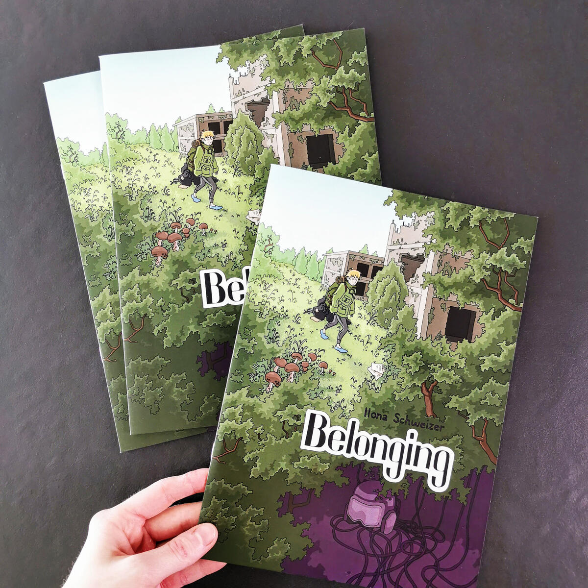 Comic Book BELONGING CHF 19.00 20 pages incl. cover, English 19 x 26.8 cm, stapled Click on image for more information