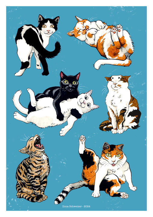 Katzensammlung Katzensammlung