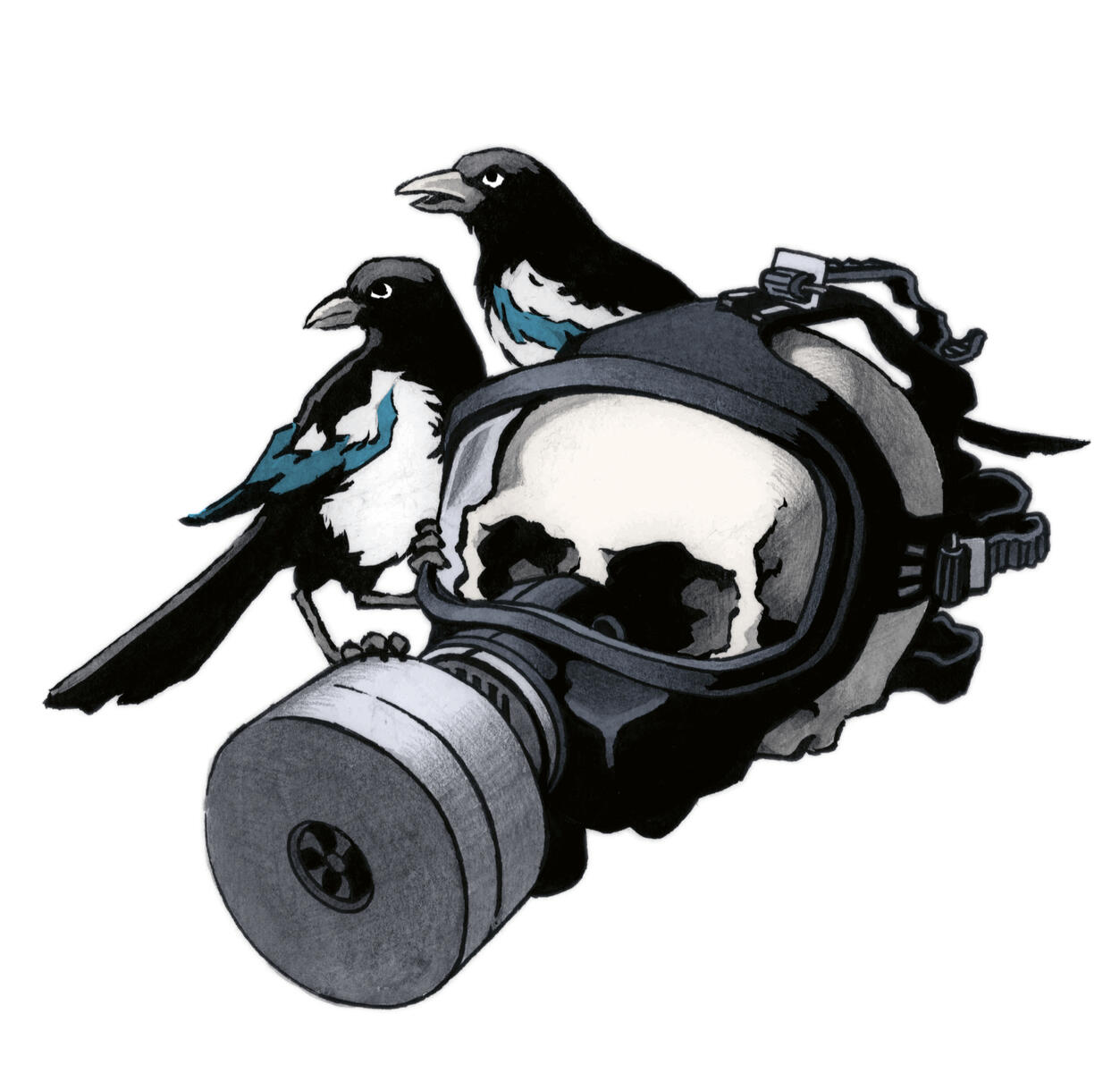 Magpies Magpies